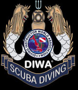Logo DIWA